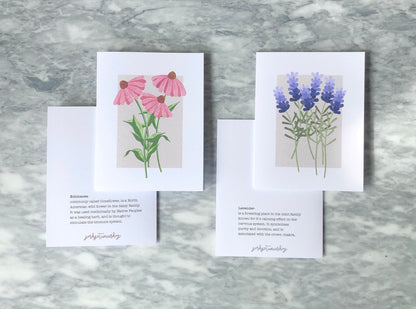 Botanical Flowers and Herbs Note Card Set, Medicinal Plants, Wildflowers