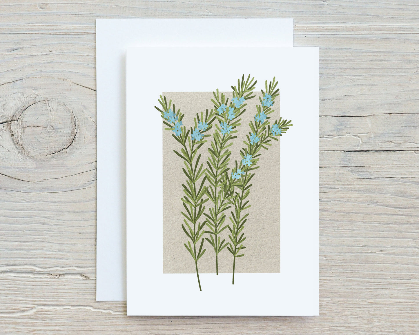 Botanical Flowers and Herbs Note Card Set, Medicinal Plants, Wildflowers