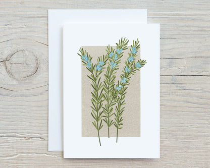 Botanical Flowers and Herbs Note Card Set, Medicinal Plants, Wildflowers