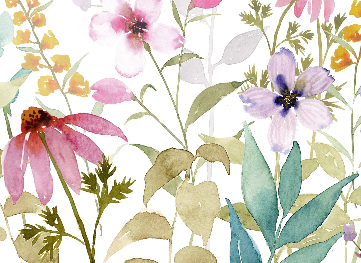 Watercolor Flower Meadow with Coneflowers, Set of Prints