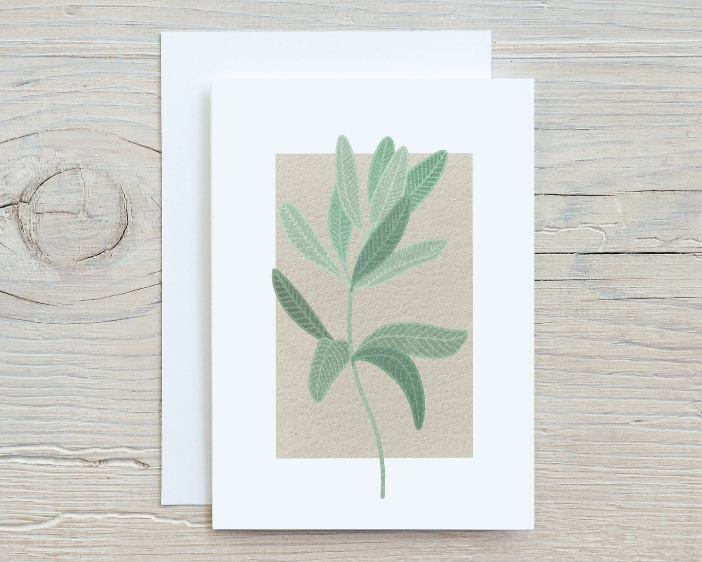 Botanical Flowers and Herbs Note Card Set, Medicinal Plants, Wildflowers