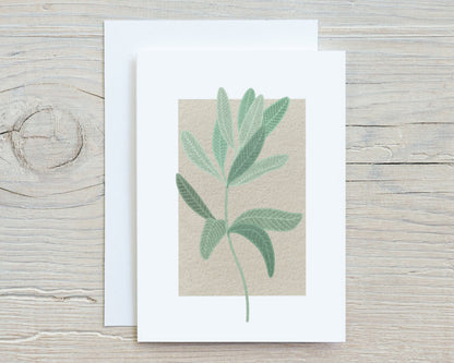 Botanical Flowers and Herbs Note Card Set, Medicinal Plants, Wildflowers