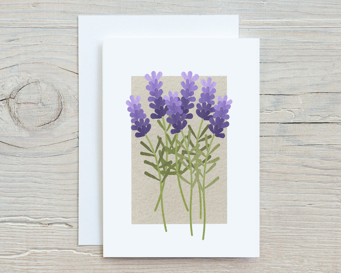 Botanical Flowers and Herbs Note Card Set, Medicinal Plants, Wildflowers
