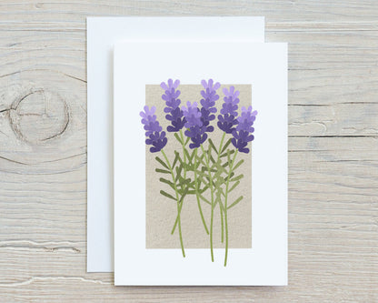 Botanical Flowers and Herbs Note Card Set, Medicinal Plants, Wildflowers