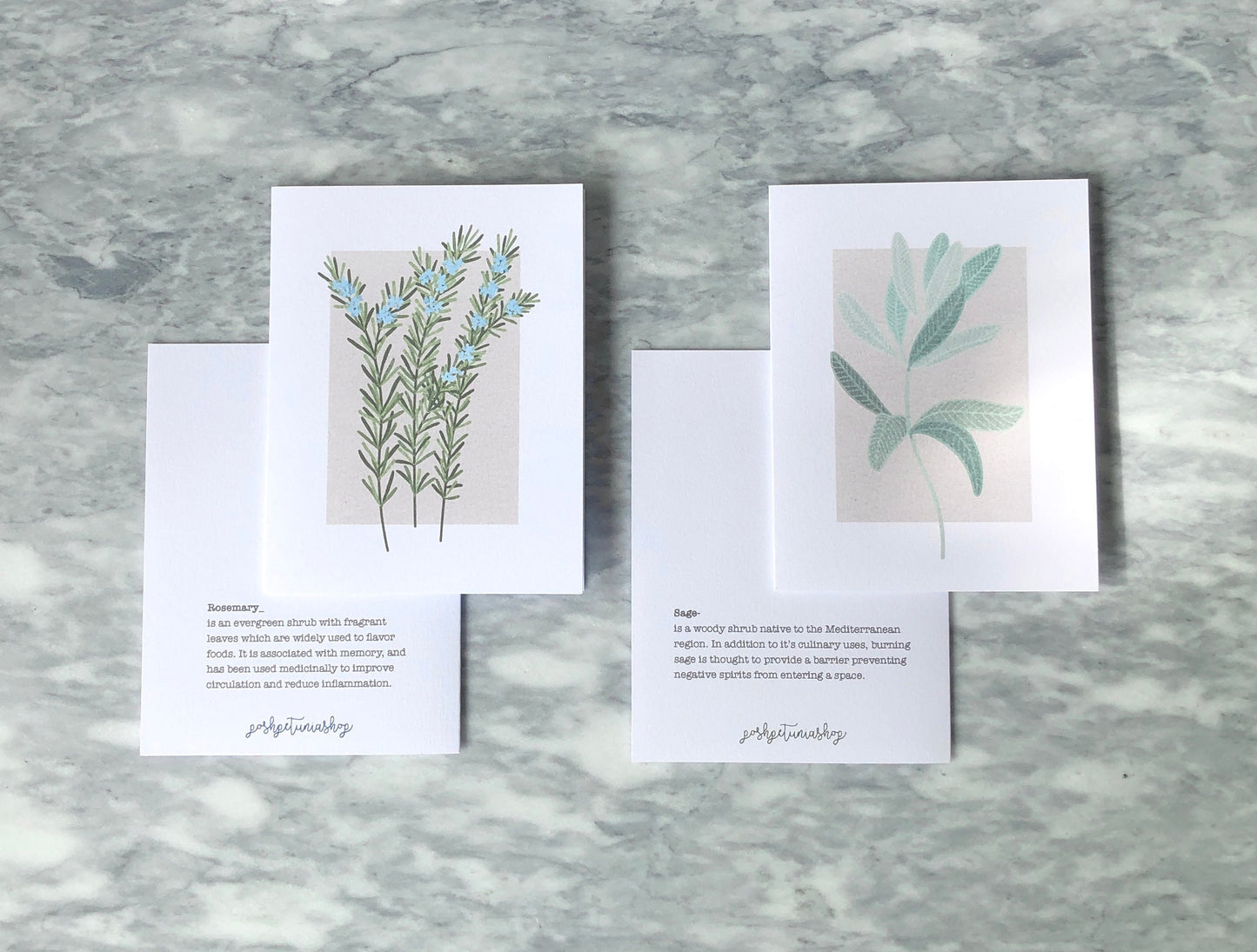 Botanical Flowers and Herbs Note Card Set, Medicinal Plants, Wildflowers