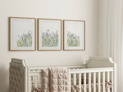 Field of Lavender Flowers, Watercolor Set of Prints, Nursery Wall Art